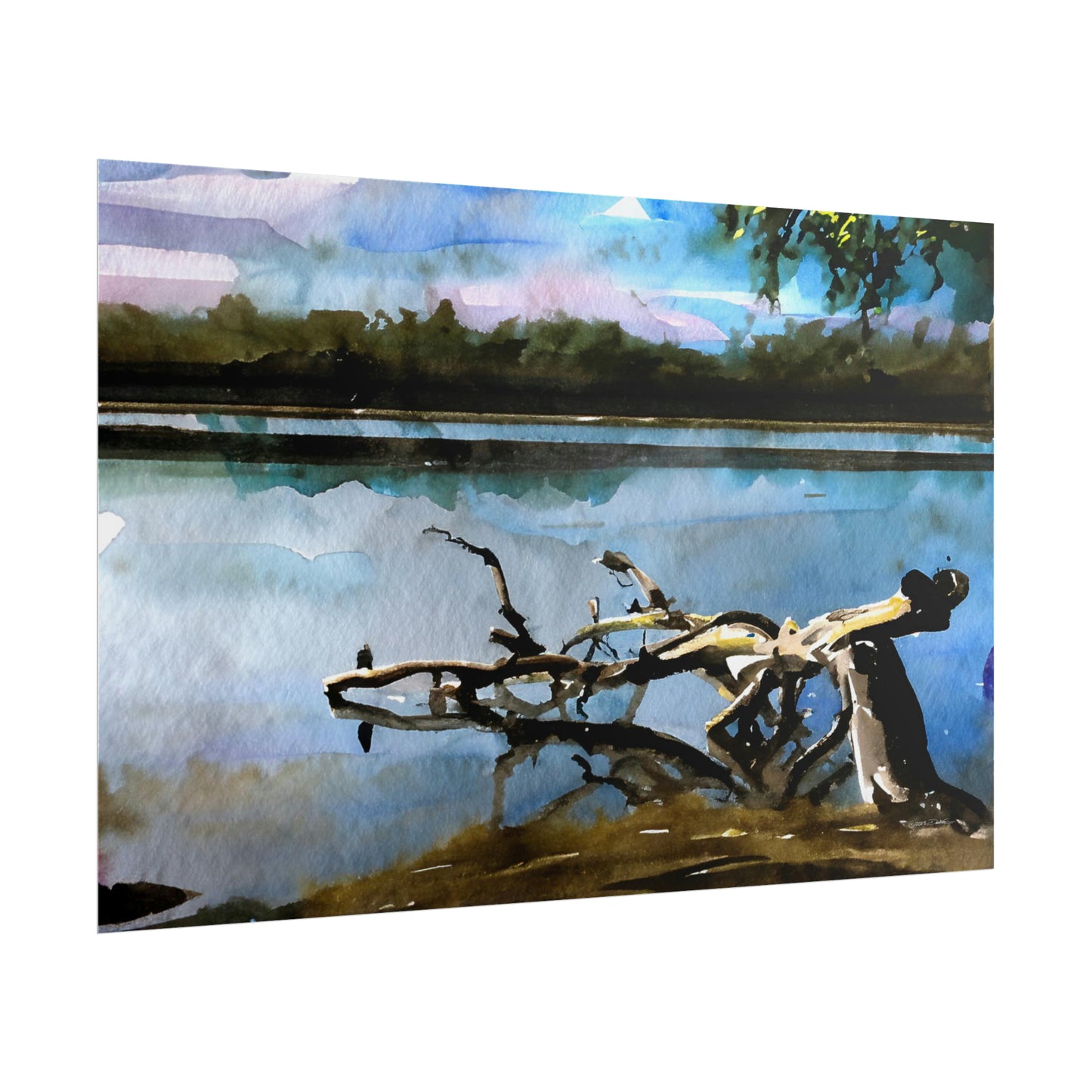 Fallen Tree, Swan River, WA. Unframed digital watercolour print.