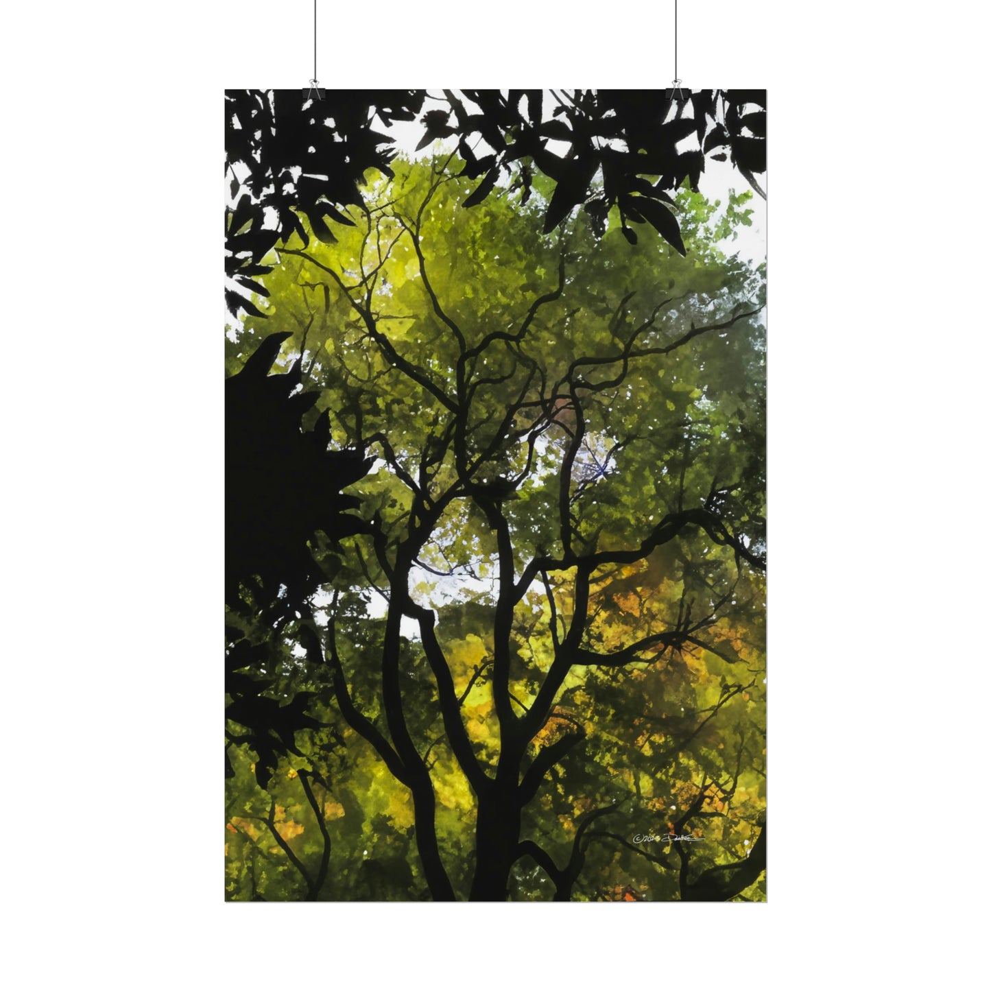 Sunlight Through the Trees. Unframed digital watercolour print.