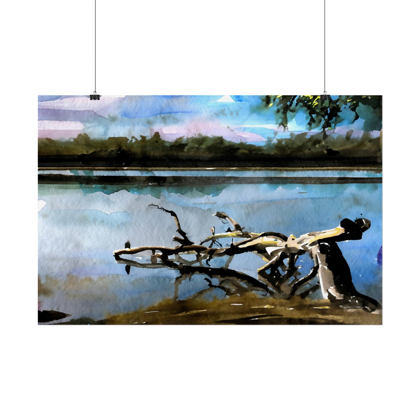 Fallen Tree, Swan River, WA. Unframed digital watercolour print.