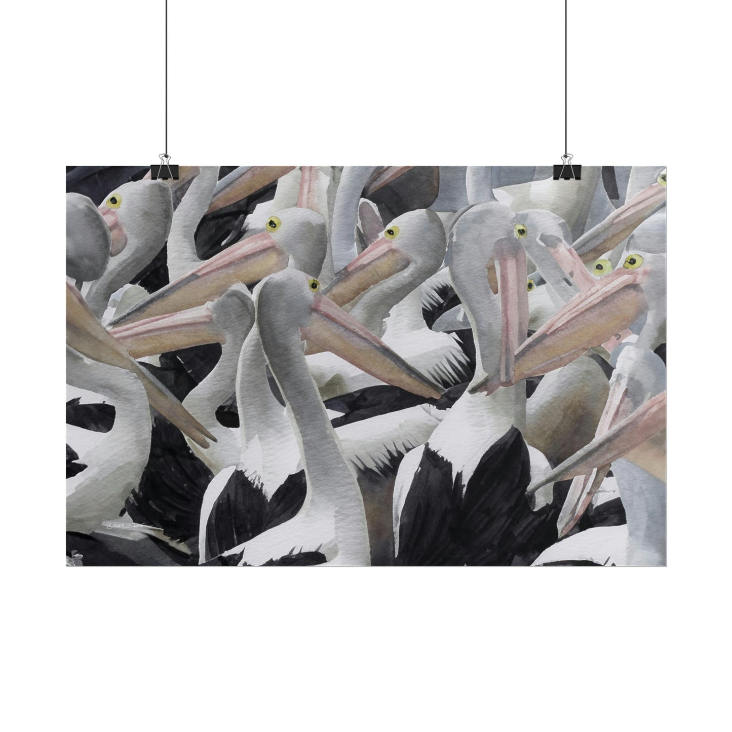 Pelicans, New South Wales, Australia. Unframed digital watercolour print.