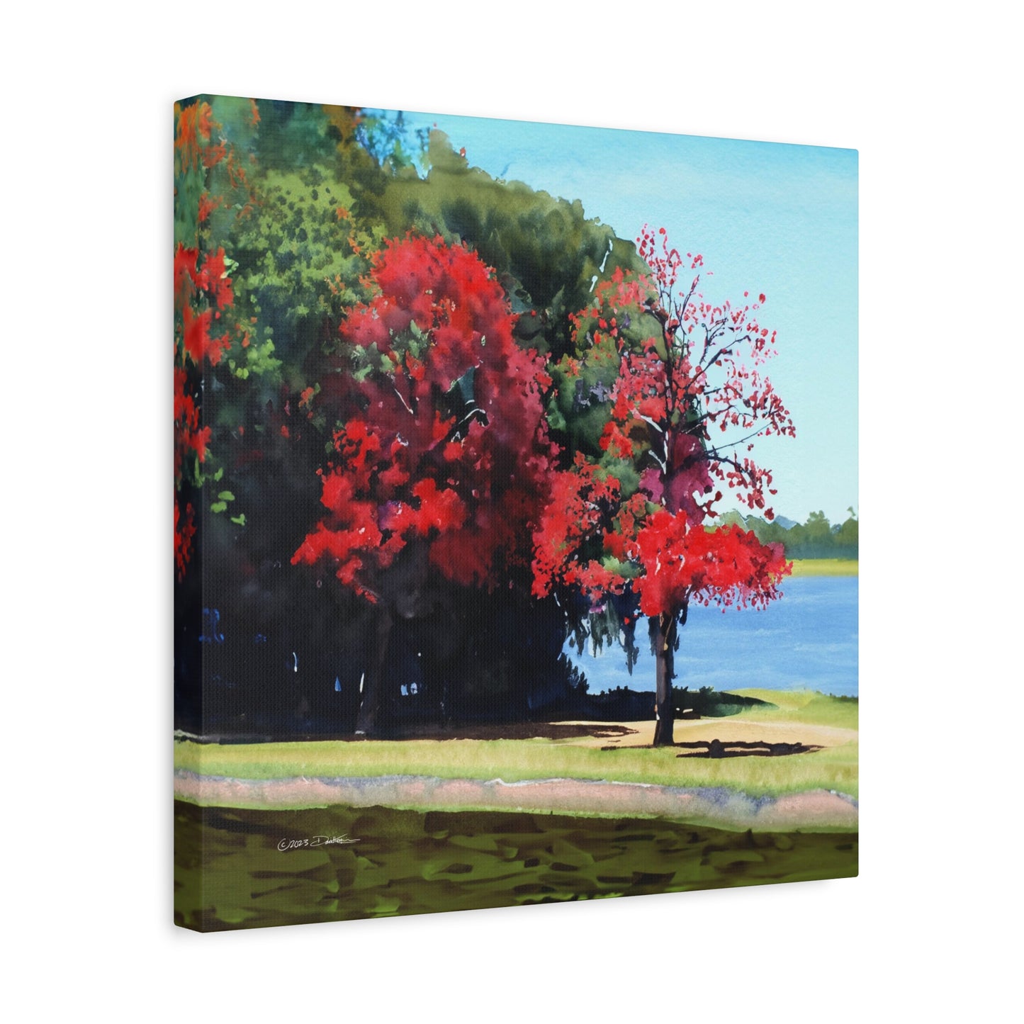 Flame Trees, Maylands. Approx. 40.7 x 40.7 (16 x 16”) print. Matte canvas all-over print