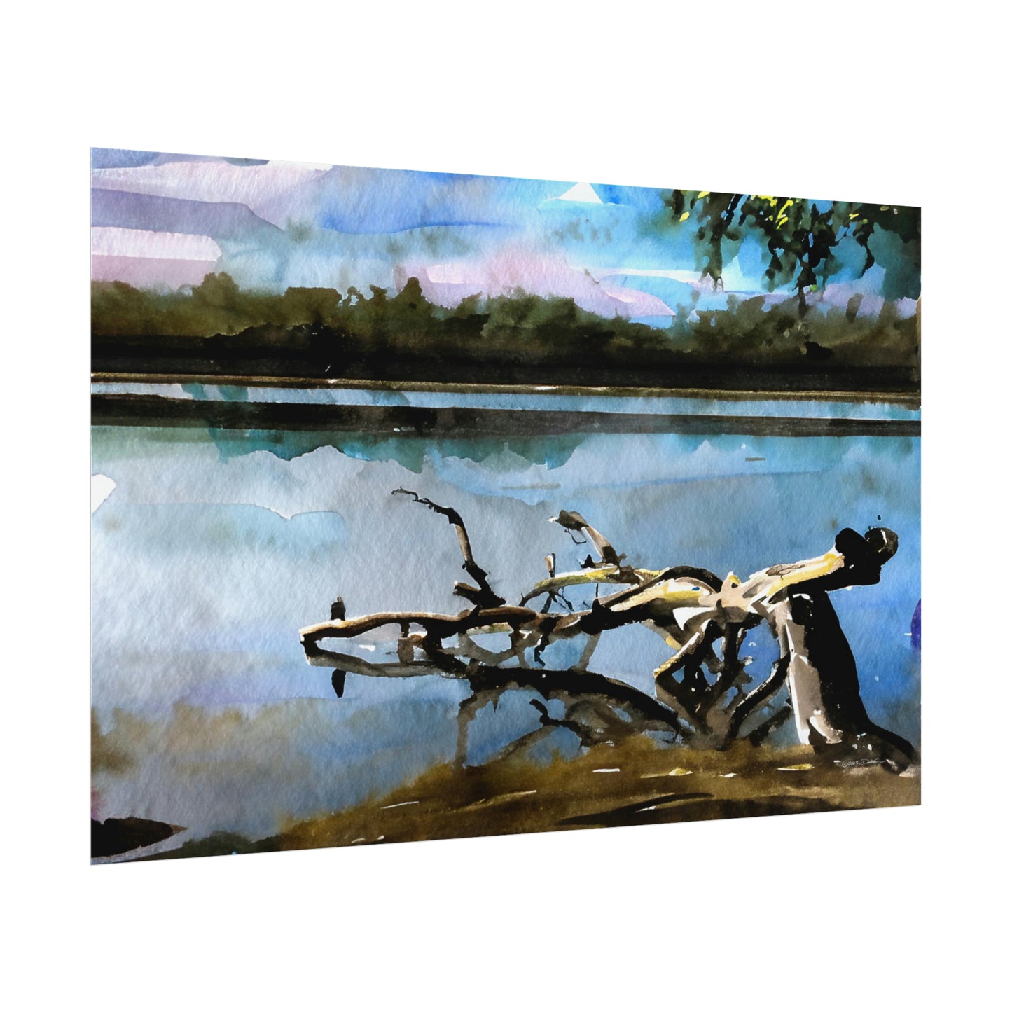 Fallen Tree, Swan River, WA. Unframed digital watercolour print.