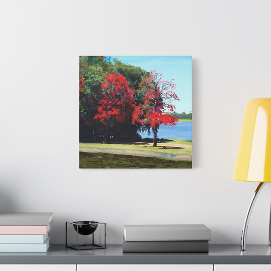 Flame Trees, Maylands. Approx. 40.7 x 40.7 (16 x 16”) print. Matte canvas all-over print