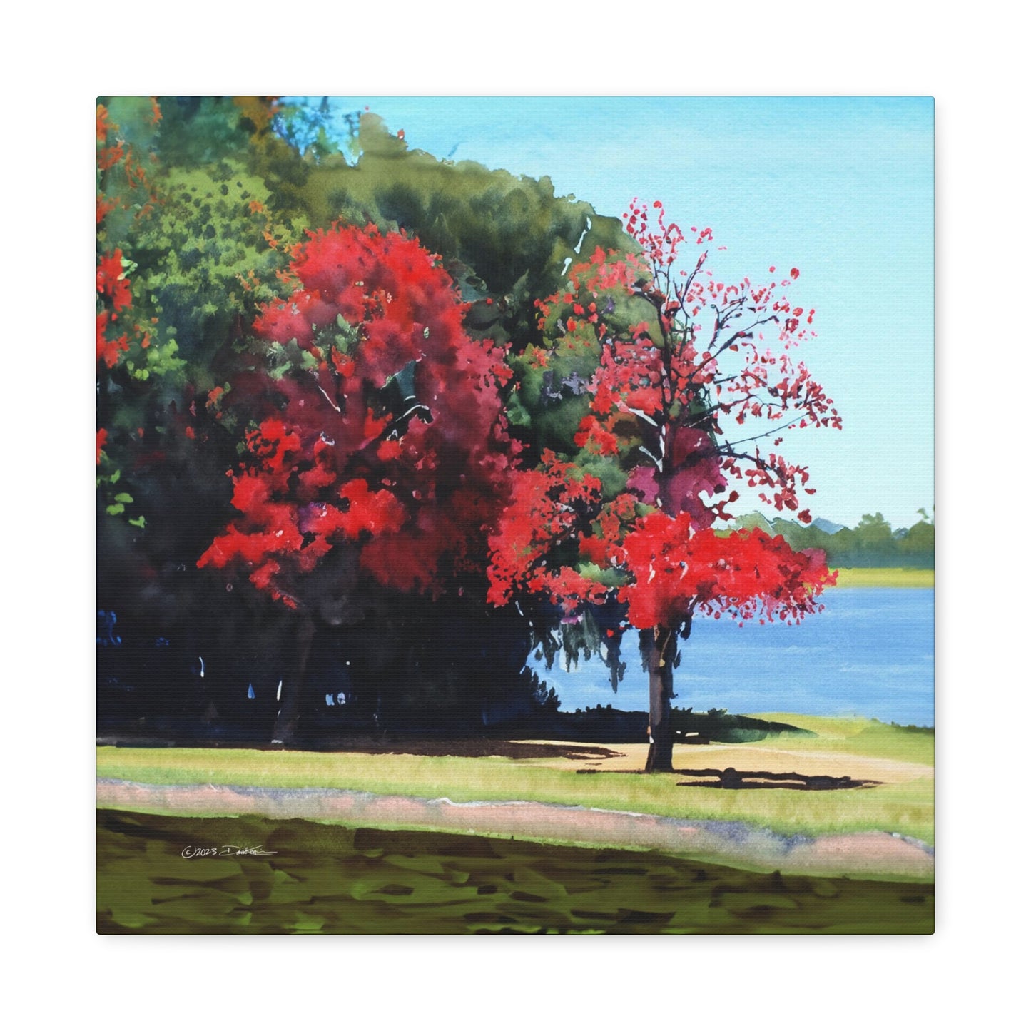 Flame Trees, Maylands. Approx. 40.7 x 40.7 (16 x 16”) print. Matte canvas all-over print